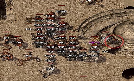 �ֵܰ����У�����������